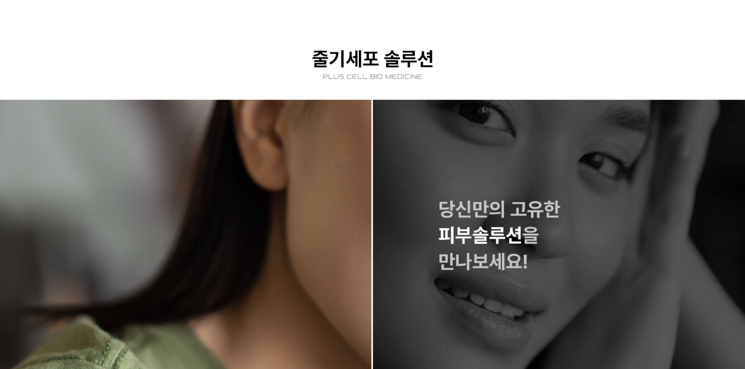 플러스셀 비오메디신